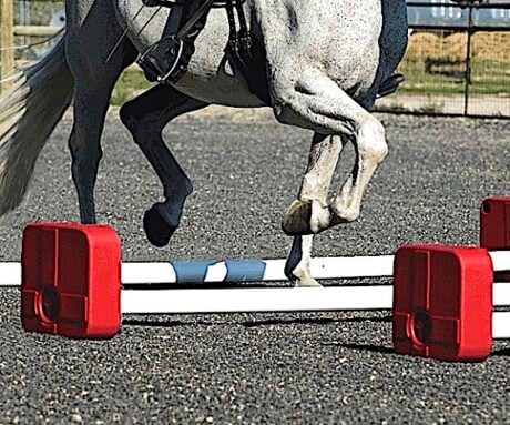 <strong>COURSE</strong> Equine Therapeutic Exercise